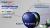 Cezar / CyberCom portfolio cartes d'affaires